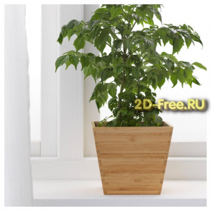 Кашпо формат файла cdr
