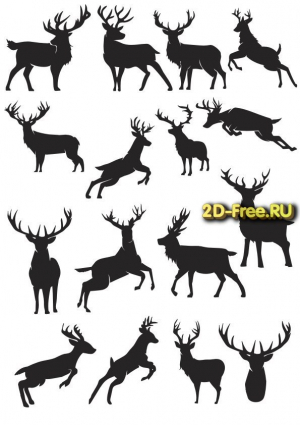 Векторы набор Free Vectors for Laser Cutting 164